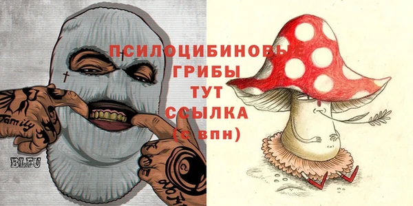 гидропоника Яровое