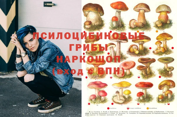 гидропоника Яровое