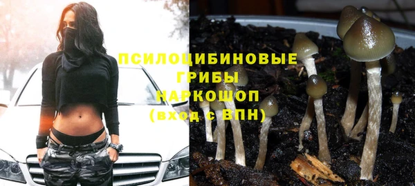 спиды Янаул