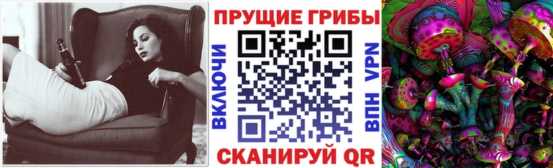 купить  сайты  Кисловодск  Галлюциногенные грибы прущие грибы 